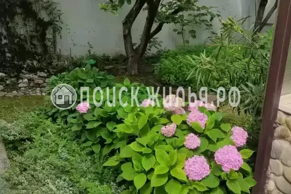 Частный сектор «Аше&Море», Сочи Частный сектор «Аше&Море», Сочи