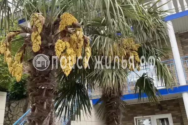 «Утес», Ольгинка «Утес», Ольгинка