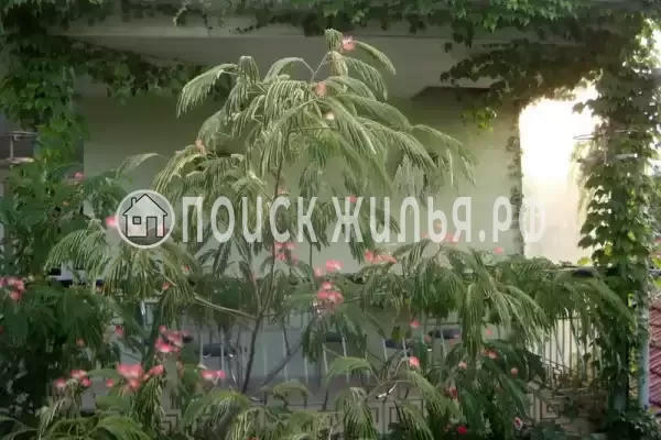 «Изумрудный», Феодосия