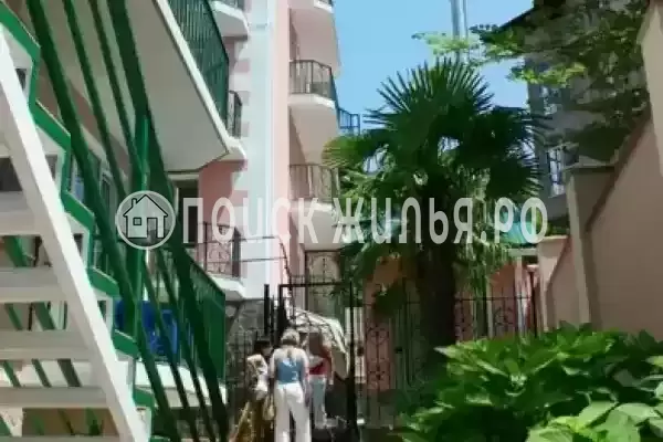 «Лаванда», Лазаревское «Лаванда», Лазаревское