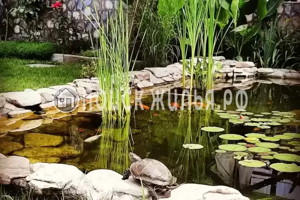 «Солнечный», Агой «Солнечный», Агой