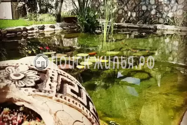 «Солнечный», Агой «Солнечный», Агой