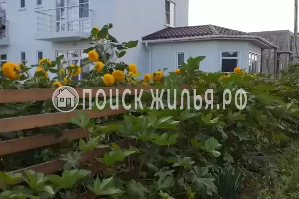 Частный сектор «Александрит», Кучугуры