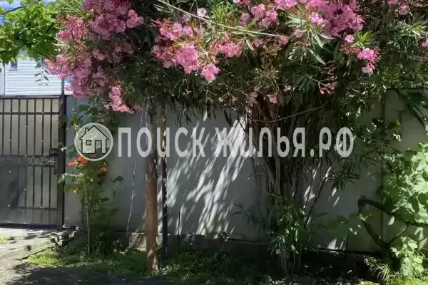 Частный сектор «Комната в частном доме у моря», Головинка Частный сектор «Комната в частном доме у моря», Головинка