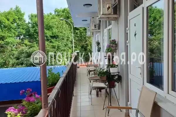 «Ласточка», Лазаревское «Ласточка», Лазаревское