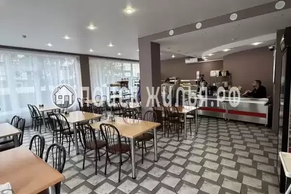 «Amare», Ольгинка