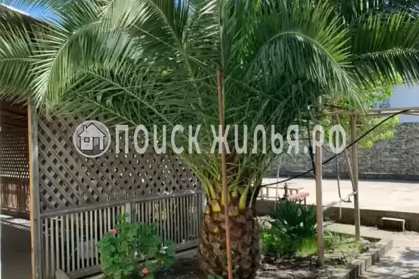 Гостевой дом «Роберт», Цандрипш Гостевой дом «Роберт», Цандрипш