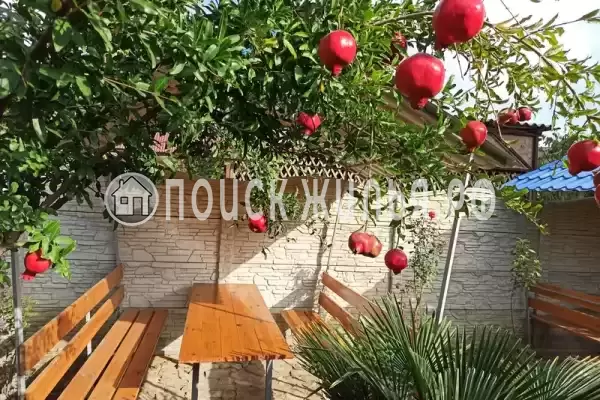 «Вирола», Судак