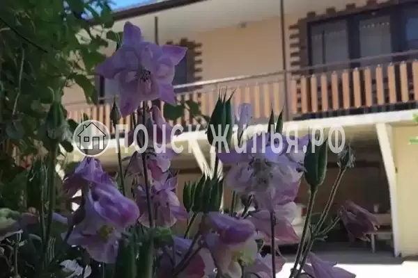 Гостевой дом «Elen», Краснодарский край, Джубга, пер. Южный, д.6А Гостевой дом «Elen», Краснодарский край, Джубга, пер. Южный, д.6А