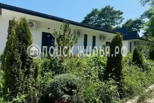 «White House», Лазаревское