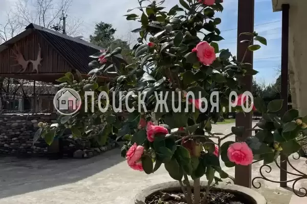 Гостевой дом «Эйва», Алахадзы Гостевой дом «Эйва», Алахадзы