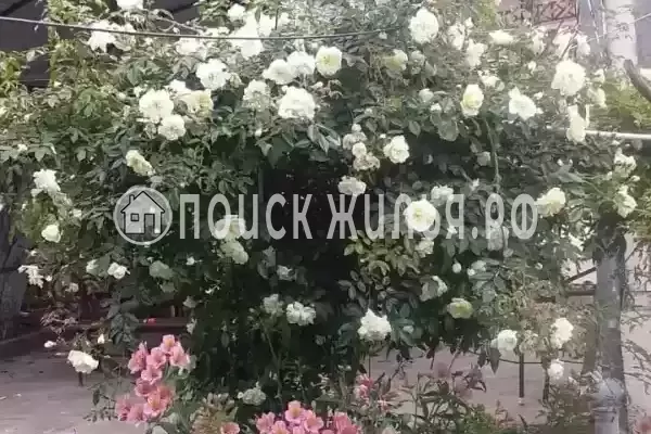 Гостевой дом «Апельсин», Псырцха