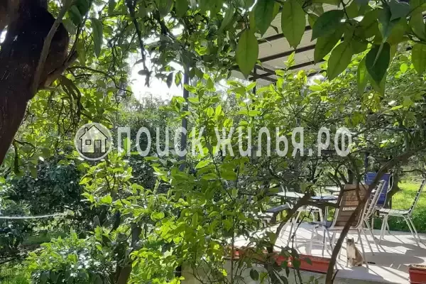 Гостевой дом «Апельсин», Псырцха