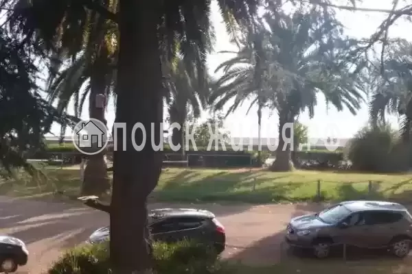 Гостевой дом «Бриз», Гагра Гостевой дом «Бриз», Гагра