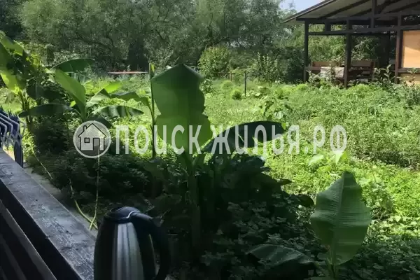 Пограничный проезд, д.3, Бетта