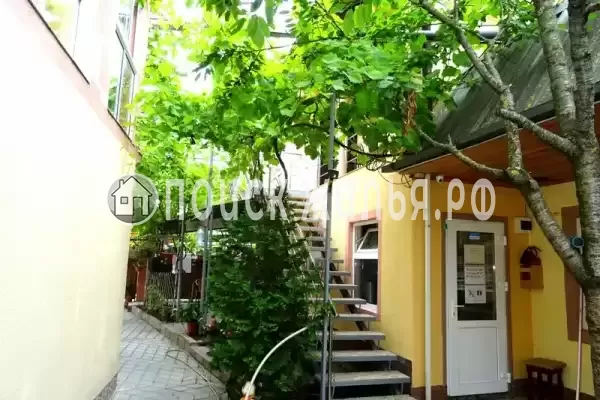 «Виктория», Новомихайловский