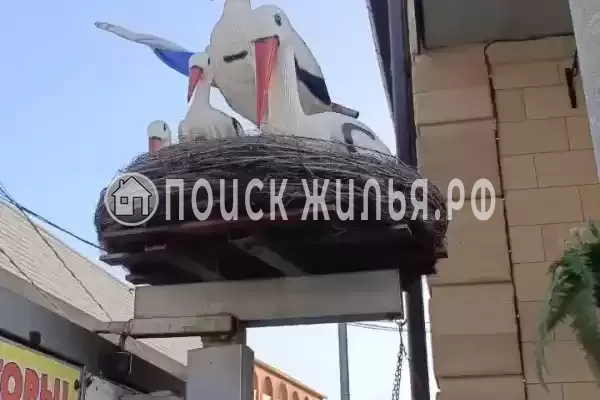 «Елена», Джубга