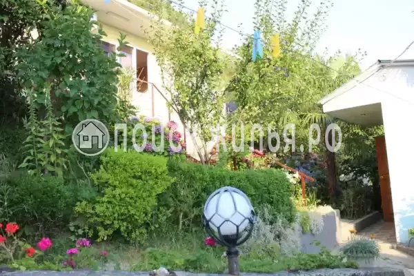 «Александра», Чемитоквадже