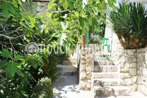 «Инжир», Пляхо