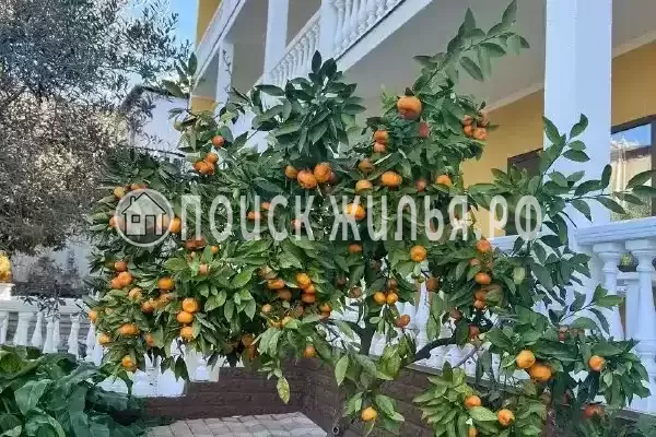 Гостевой дом «Мэри», Псырцха