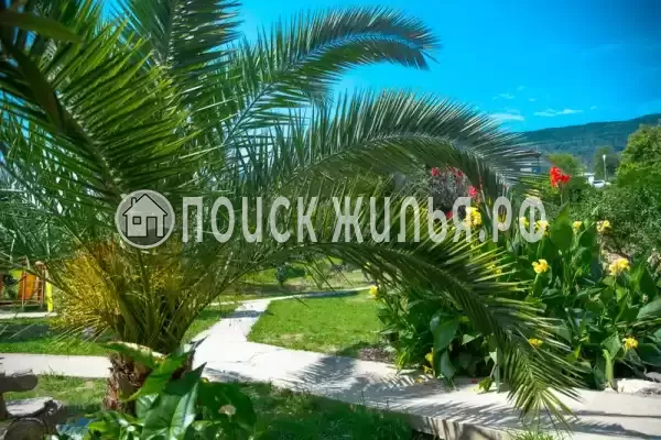 Гостевой дом «Мэри», Псырцха