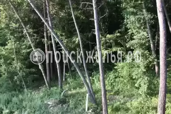 Частный сектор «Сосновый Бор», Лазаревское Частный сектор «Сосновый Бор», Лазаревское