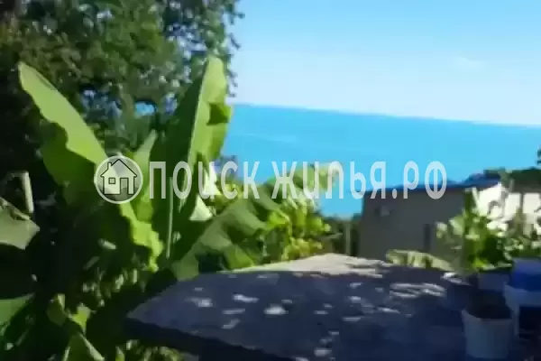 «Павлодар», Лазаревское