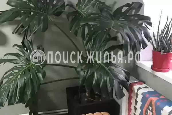 «На Пограничников», Судак