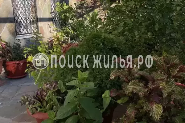 Частный сектор «Сибиряк», Лазаревское