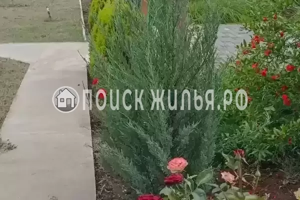 «Глициния», Новофедоровка