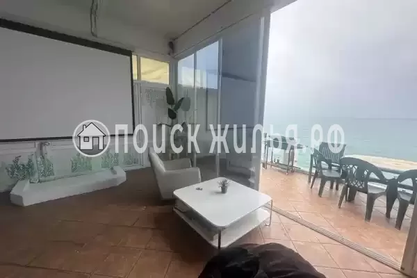 «Семейный берег», Хоста «Семейный берег», Хоста