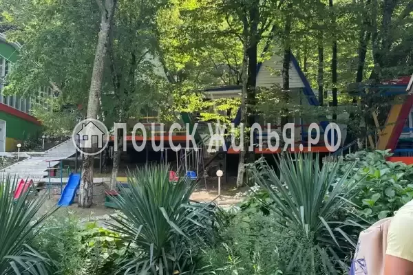 «Джамп», Бжид «Джамп», Бжид