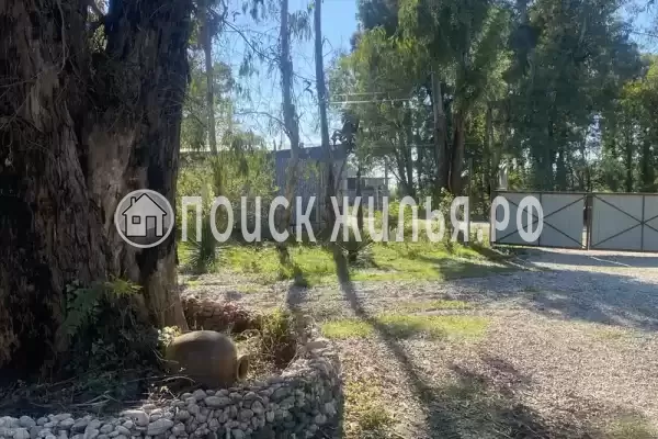 База отдыха «Ассир+», Республика Абхазия, Сухум, с. Очамчира, д.