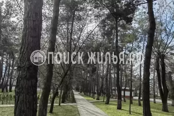 Апартаменты «Кавказ», Анапа