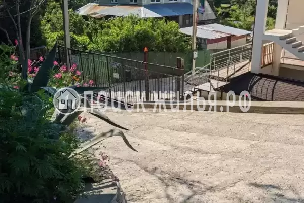 «Жара», Солоники