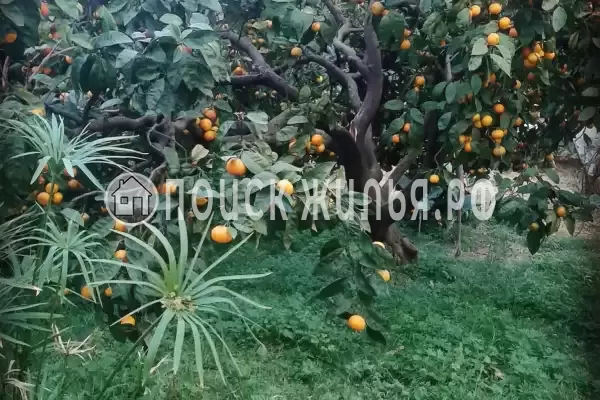 Дом под ключ «Морской бриз», Приморское Дом под ключ «Морской бриз», Приморское