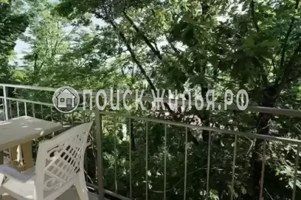 «Поталь», Лазаревское