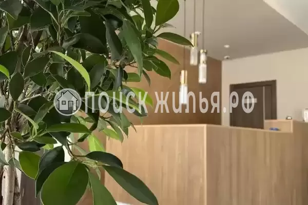 Отель «Levada», Небуг