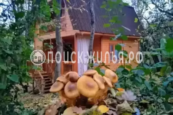 Частный сектор «Домик под клëнами», Бетта