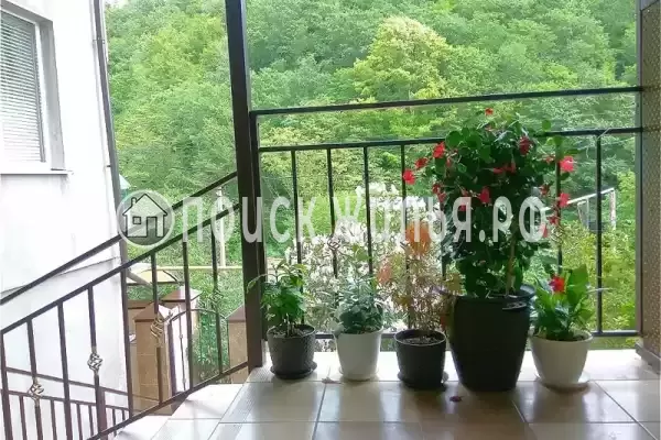 «Северянка», Лазаревское