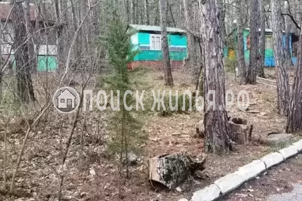 «Джанхот», Джанхот