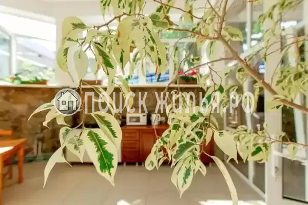 «Колибри Beach», Лазаревское