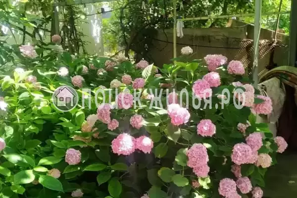 Частный сектор «У Ольги», Небуг Частный сектор «У Ольги», Небуг