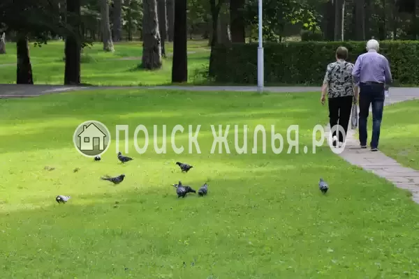 Гостевой дом «У Риммы», Цандрипш