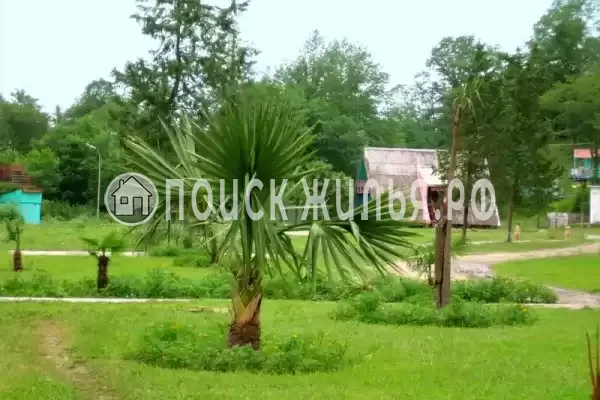 База отдыха «Золотая Бухта», Пицунда База отдыха «Золотая Бухта», Пицунда