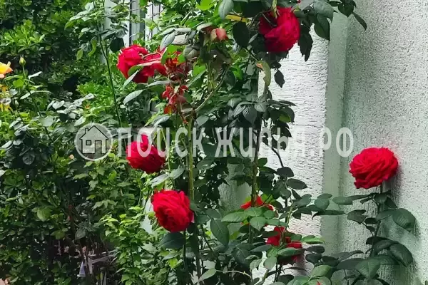 Частный сектор «Частный дом в центре на ул. Кирова», Геленджик