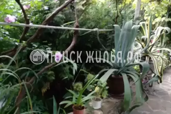 «Зелёный дворик», Архипо-Осиповка