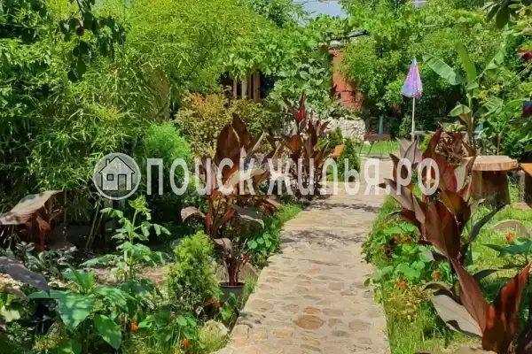 «Орион», Ольгинка «Орион», Ольгинка