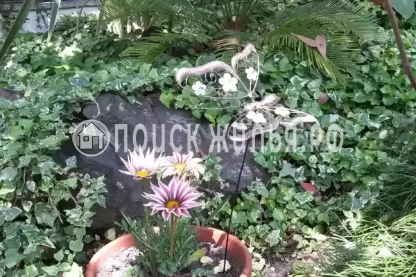 «Эвкалипт», Лоо «Эвкалипт», Лоо