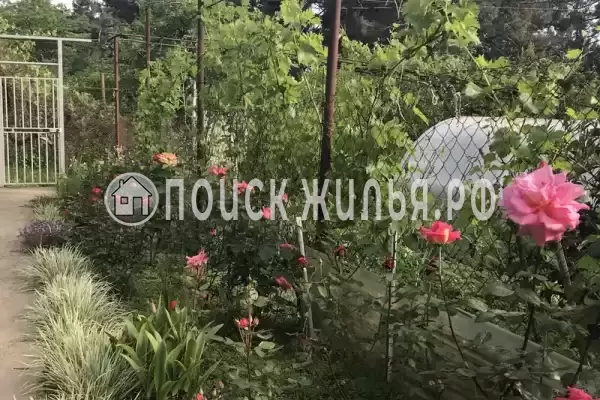 «Зара», Лазаревское «Зара», Лазаревское